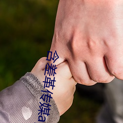 含差革传媒app
