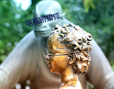 电视剧猎狐
