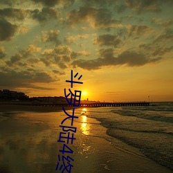 斗(鬥)罗大陆(陸)4终极斗罗动(動)态漫