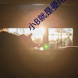 918博天堂·(中国)手机版客户端