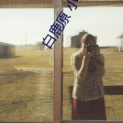 白鹿原 小说