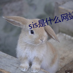 sis是(shì)什么网站