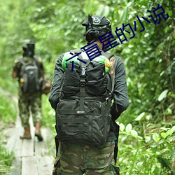 六盲星的(的)小说