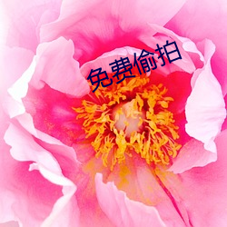 免費偷拍