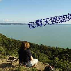 包青天狸猫换太子