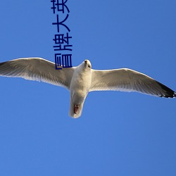 冒牌(pi)大(d)英(yīng)雄