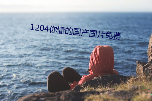 1204你懂的国产国片免费 （牢不行破）