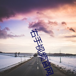 右手視頻官網