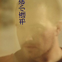 书(書)连(連)小说