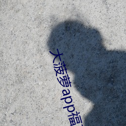 918博天堂·(中国)手机版客户端