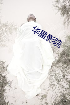 华(huá)星影院