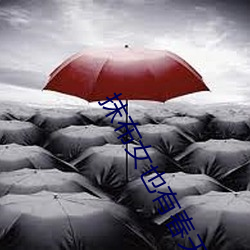 抹布女也有春天结局