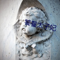 饕餮太子妃