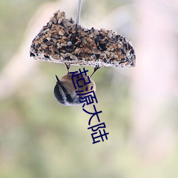 起源大陆 （望风希指）