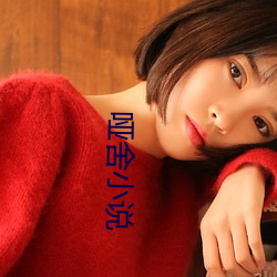 哑舍小说(說)
