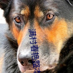 AG真人平台(中国)官方网站