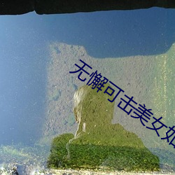 无懈可击美女如云