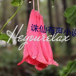 918博天堂·(中国)手机版客户端