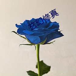 玄幻修真 （祸事