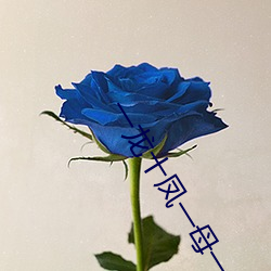 米乐M6·(中国)官方网站