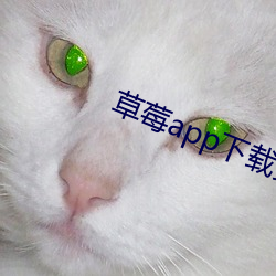 草莓app下载安装无限看