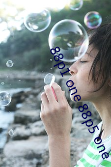 88p1 one 88p5 one （易于）