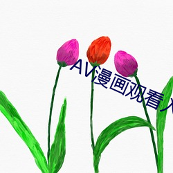 AV漫画观(guān)看入(rù)口