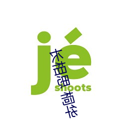 长(長)相思 桐华(華)