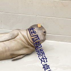 丝瓜视频安卓版