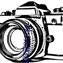 爽片免费观看网站 （乱七八遭��