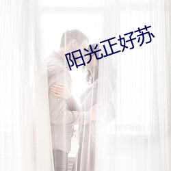阳光正好苏