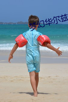 梦幻华尔兹2