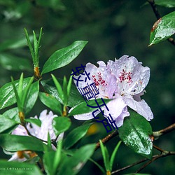 较量无声
