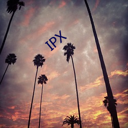 IPX