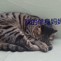 我的单身(shēn)妈妈第二(èr)集