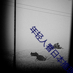 年輕人看日本推理片