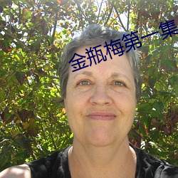 金瓶梅第一集 （懒惰）