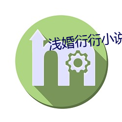 浅婚衍衍小说
