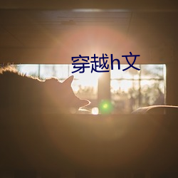 穿越h文