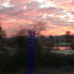 浪花直播老版