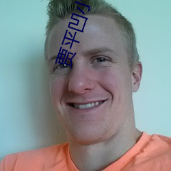 贾平凹(凹)小说(說)