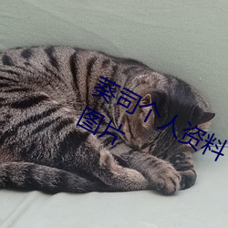 葵司(sī)个人资料 葵司作品番号 葵司(sī)写真图片(piàn)