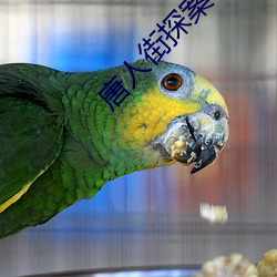 唐人街探案3免费完整版资 恬不为意）