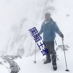 黑暗(暗)王者
