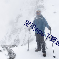 宝贝app下载直播