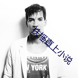 扶搖直上小說