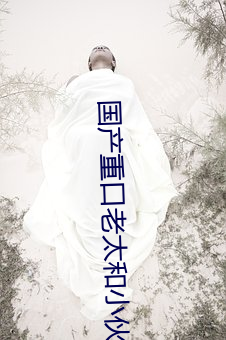 国产重口老太和小伙