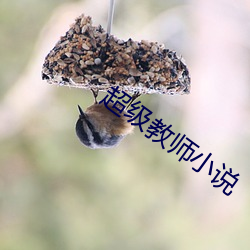 尊龙凯时·(中国)官方网站