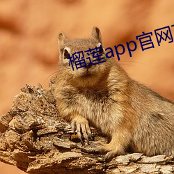 榴蓮app官網下載入口