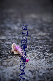 为了还债(債)借妻给别人生中(中)